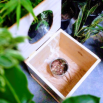 Screen-Shot-2018-06-24-at-2.01.53-PM